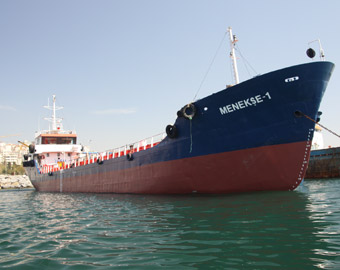 Menekse 1